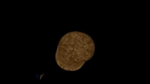 Champagne Cork- Micro-CT by Micro Photonics