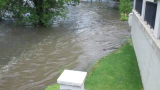 10 Spring Street Burlington Media Stand, Multiple Colors Burlington, WI Echo Park Flood - earlier footage Part 1