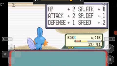 Pokemon sapphire mudkip evolved clip