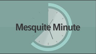 2020 Mesquite Minute MPD Crisis Intervention Training