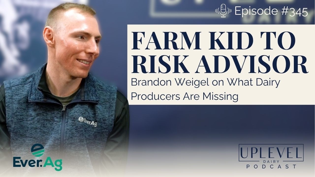 345 | From Farm Kid to Risk Advisor | Brandon Weigel on What Dairy ...