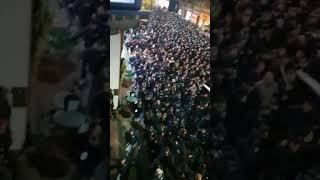 F.c Zurich Fans In London