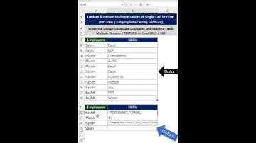 lookup and return multiple values