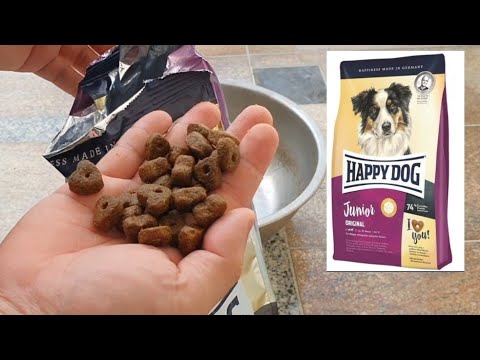 happy dog maxi junior