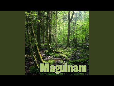 Maguinam (Kalinga song)