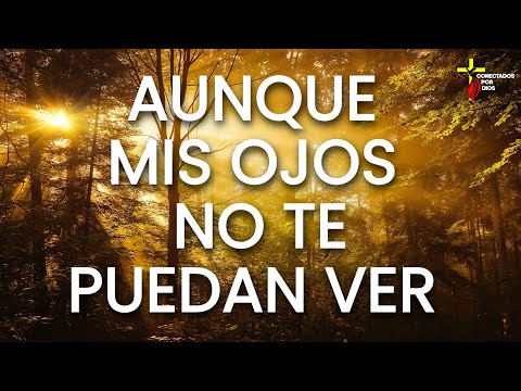 TU ESTAS AQUI - ALABANZAS PODEROSAS QUE DAN FUERZAS - MIX DE ADORACION 2023 - MUSICA CRISTIANA