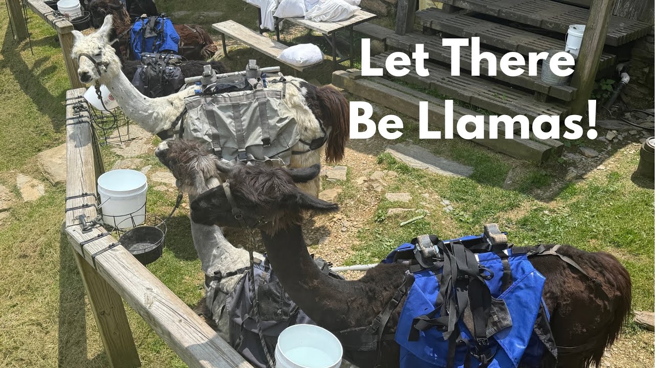 Day Hike to Rainbow Falls, Mt LeConte, & Grotto Falls: Smoky Mountains