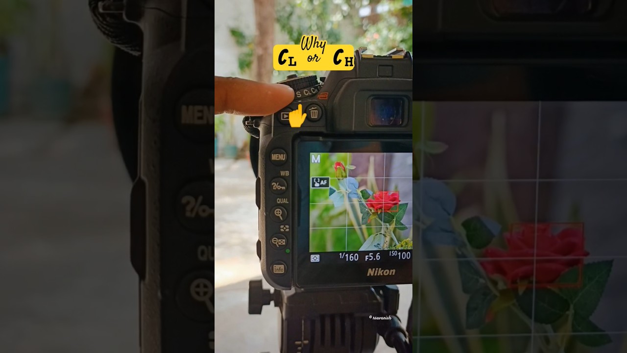 Nikon D7500 Photography Settings | CL and CH Mode 