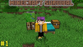 HEM ŞANSLI HEM GÜZEL BAŞLANGIÇ | Minecraft 1.19 Survival #1