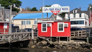 New England Cruise | American Cruise Lines
