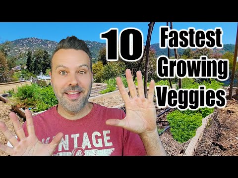 Video: Care este leguma cu cea mai rapidă creștere?