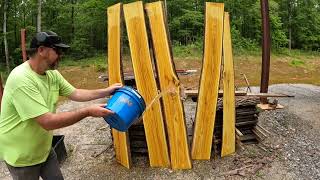 Osage Orange on the #woodmizer  #sawmill #hedgeapple #osage