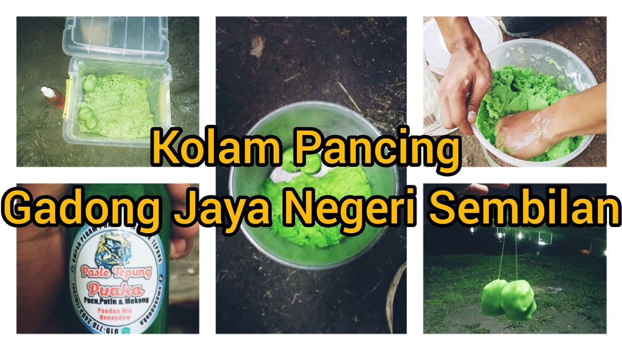 Layan Patin (Kolam Gadong Jaya) + Pandan Mix Honeydew + Asal Usul Umpan Puaka