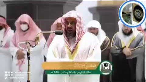 تلاوة خاشعة ومرتلة ( سورة الأعراف / الآية 167) الصفحة 172/ الشيخ المقرئ سعود الشريم إمام الحرم المكي