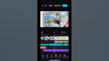 PLAY THIS | A SHELL SHOCKERS EDIT #shellshockers #edit #fyp