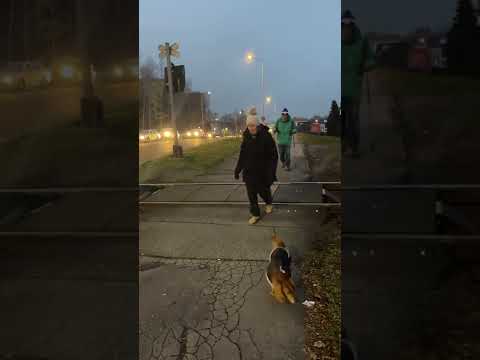 Neukazneni chodci na