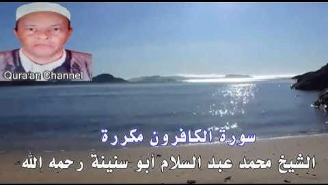 سورة الكافرون محمد أبو سنينة برواية قالون
