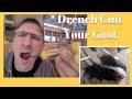 How to Drench medications to a Goat - 2018