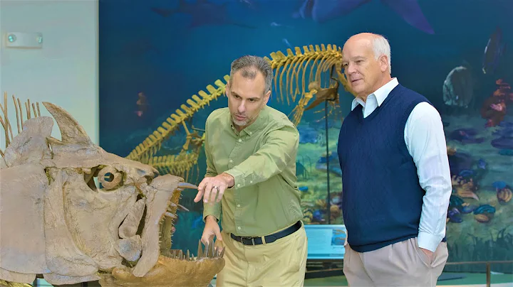 How Did Noah's Flood Create the Fossil Record? - D...