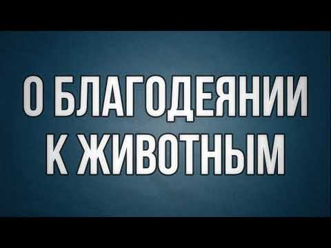 О благодеянии к животным || Абу Яхья Крымский
