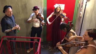 Birds & Foxes - Lay me Down (Sam Smith Cover) String Quartet