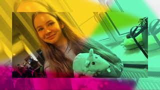 Dzień Pluszowego Misia W Naszej Szkole