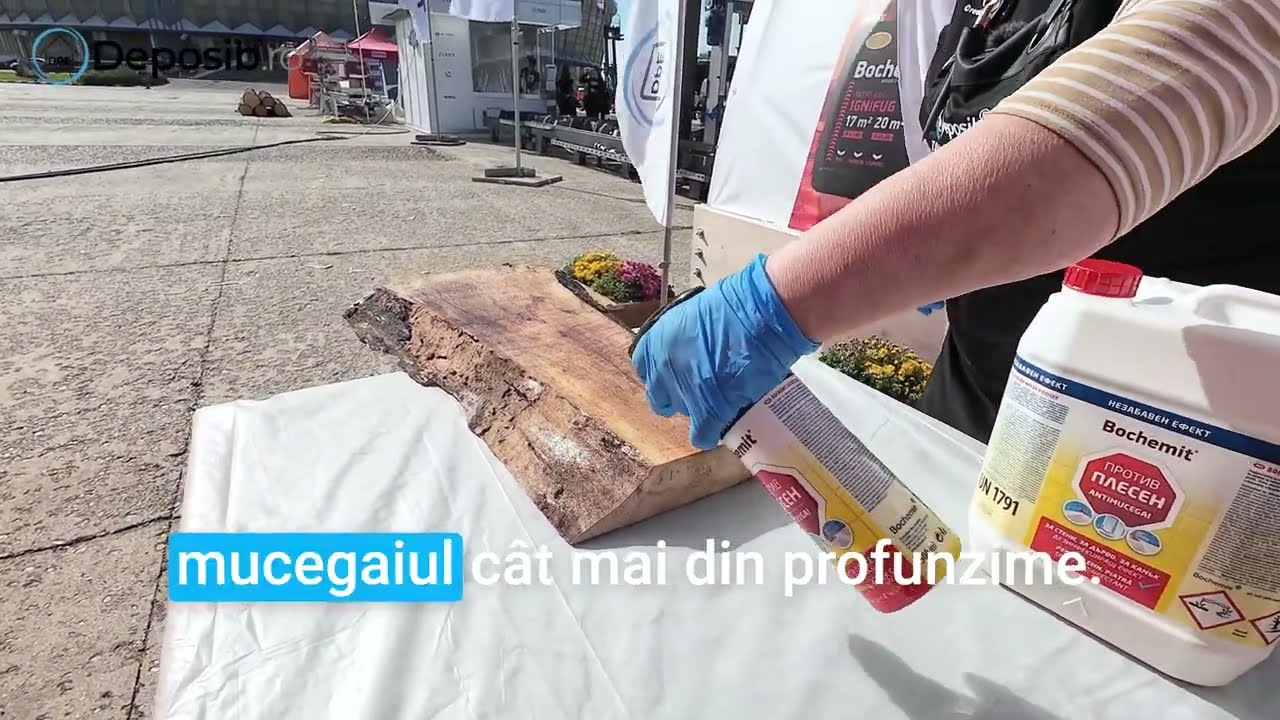 Curățare MUCEGAI si LEMN ÎNNEGRIT cu Soluția Bochemit AntiMucegai