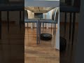 Roomba i5+ cleaning underneath a kitchen table