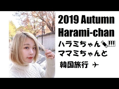 思い出の写真ハラミちゃん🍖🎹 2019年秋/お米🍚編集