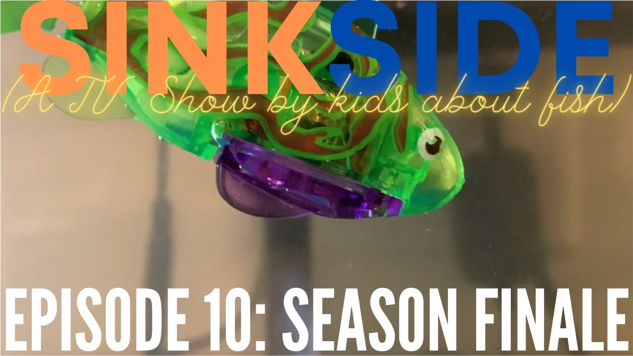 Sinkside - Episode 10: Season Finale