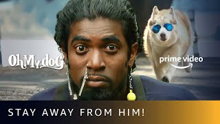 Simba Is A Smart Dog Oh My Dog Amazon Prime Video