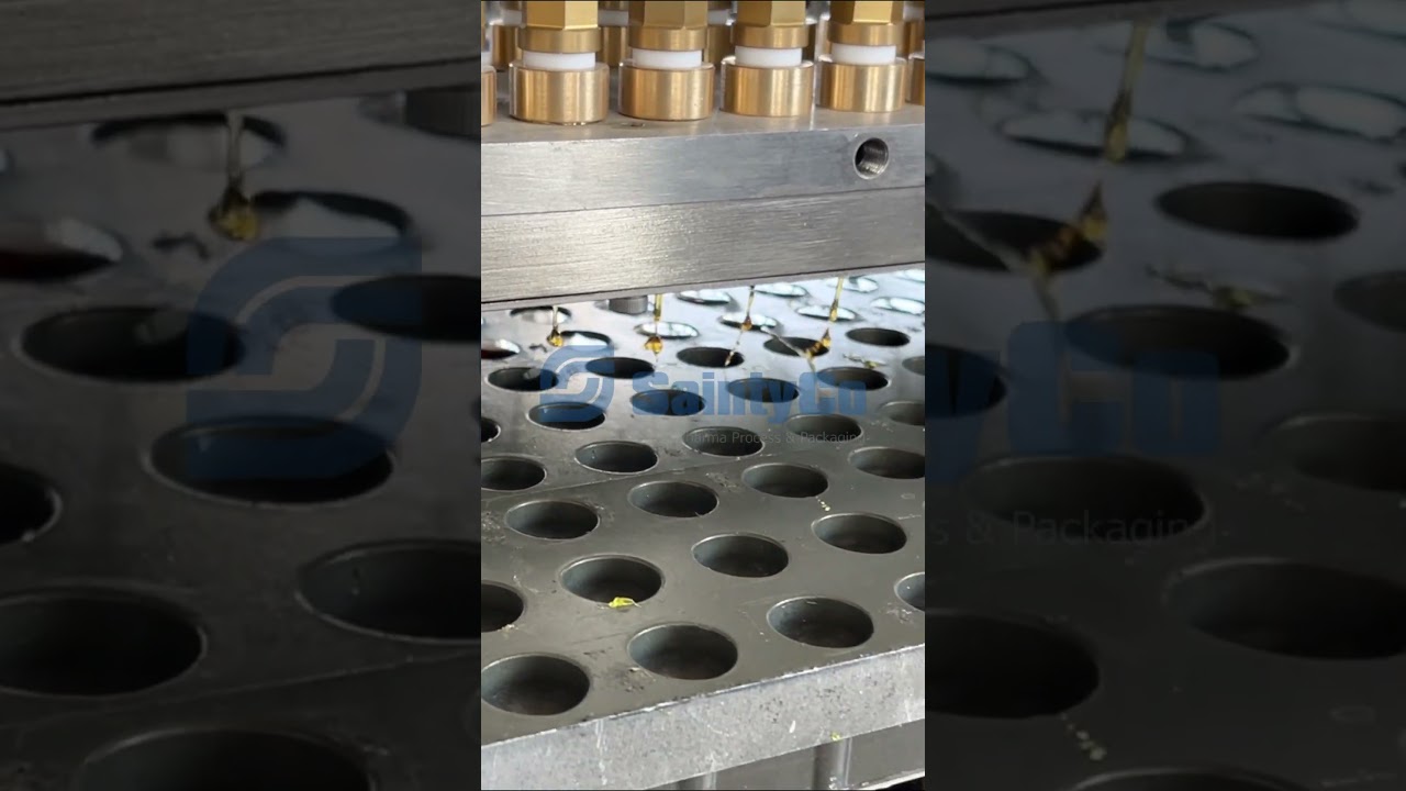 Siemens-Servo Powered Gummy Depositing | SaintyCo DM-50X Production Demo