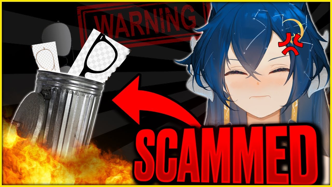 I got SCAMMED on the INTERNET?