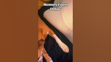 Upgrade your sleep game with our comfortable memory foam pillow #bed