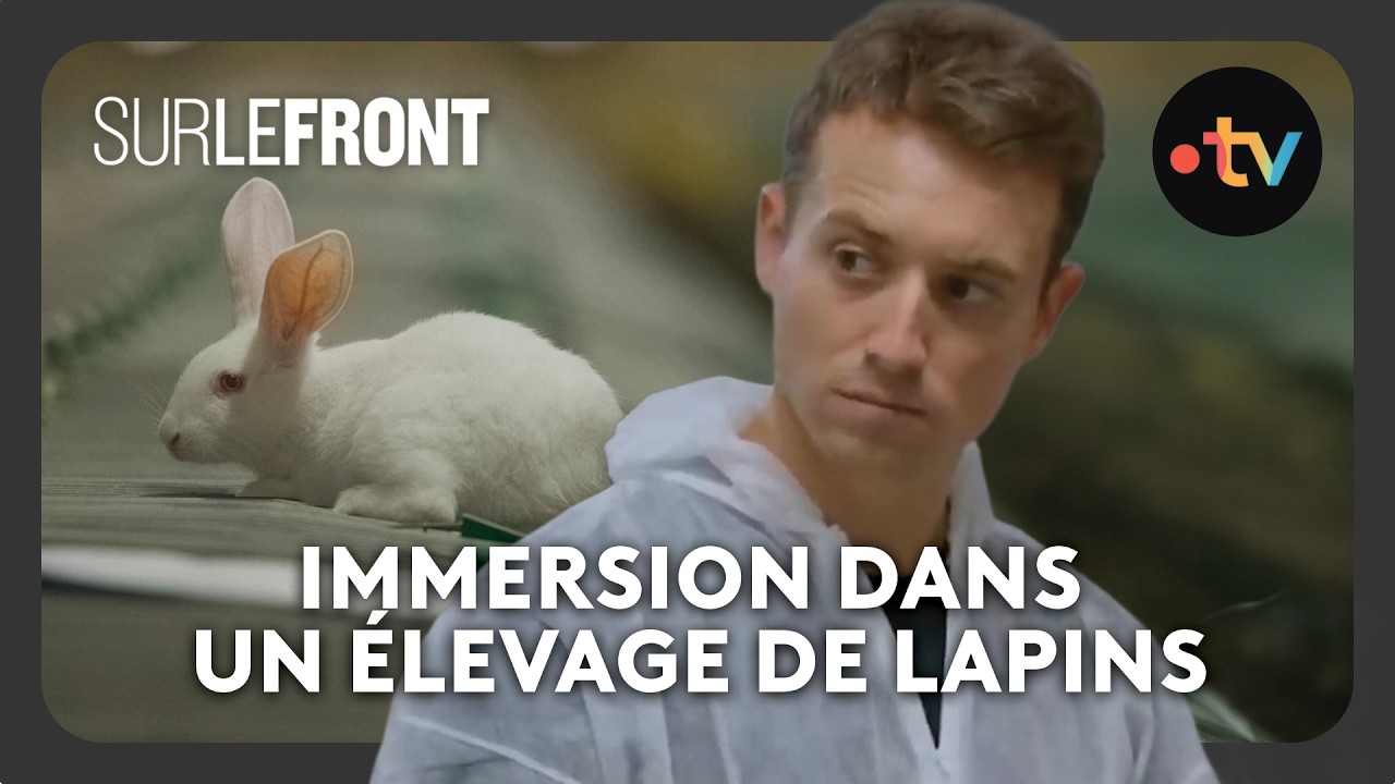Immersion exceptionnelle dans un élevage intensif de lapins - Sur le front avec Hugo Clément