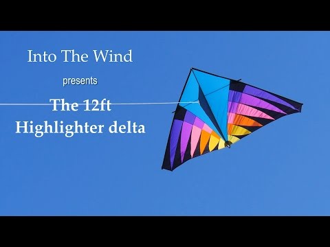 Into The Wind 12ft Highlighter Delta Kite