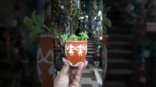#diy #garden #claypot #ytshorts #shortsviral #trendingshorts