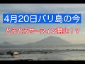 【４月２０日バリ島コロナ情報】とうとうサーフィン禁止に！？