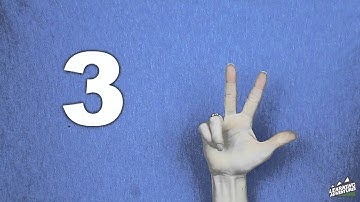 Sign Language Numbers 1 thru 10 | Learn to Sign (ALS) | Kids and Children