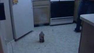 Fun In The Kitchen Vol. 1