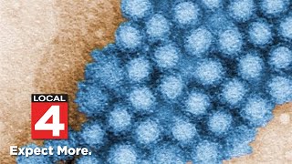 Norovirus surges nationwide following holiday gatherings