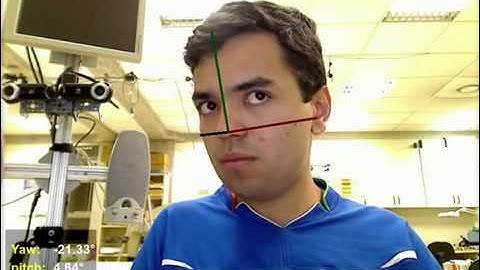 Remote control of a Robot Head using Computer Vision