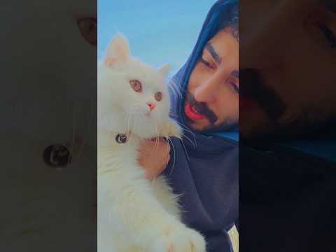 ماشاء الله الجمال سامر جفال مليون