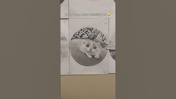 Day 175 of adding my followers to the wall of fame (Part 2)