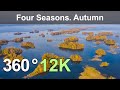 Four Seasons. Autumn Forest. Relax Flight in 360 format, 12K resolution