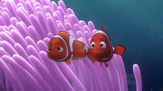 Happy Valentines Day To Marlin & Coral