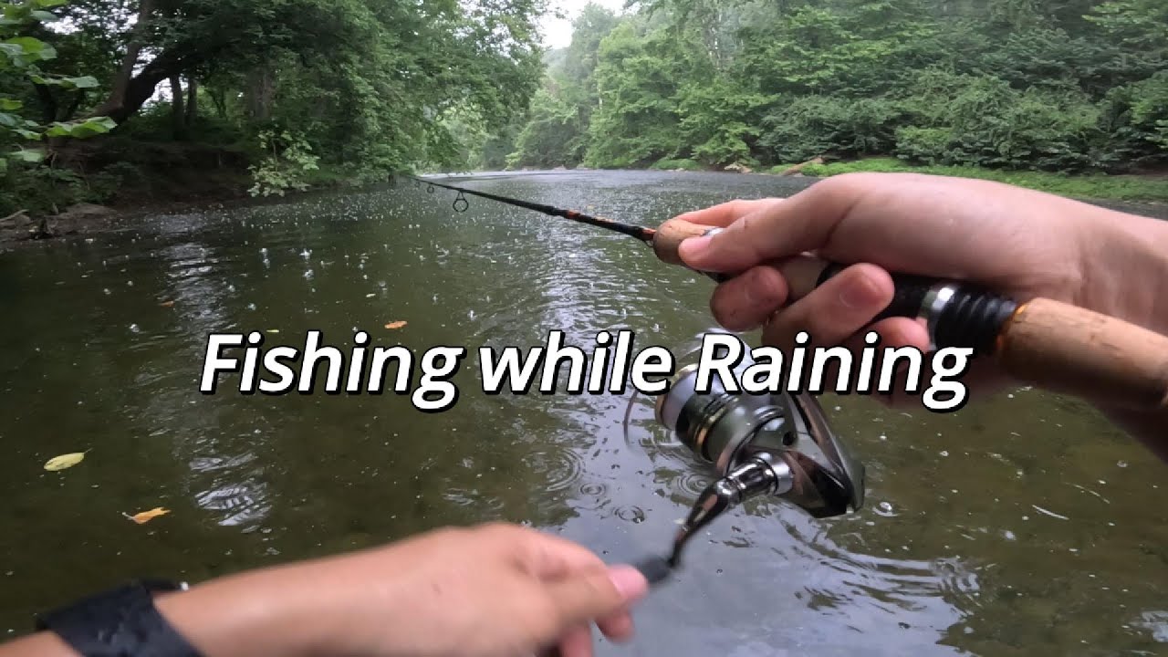 Fishing Raning Spring Fishing while raining - YouTube