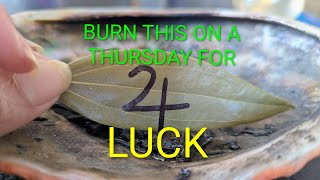 BURN THIS ON A THURSDAY FOR LUCK #bayleaf #thursday #luck