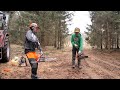 Logging and cleaning the forest with the family  log cabin building s4 ep14