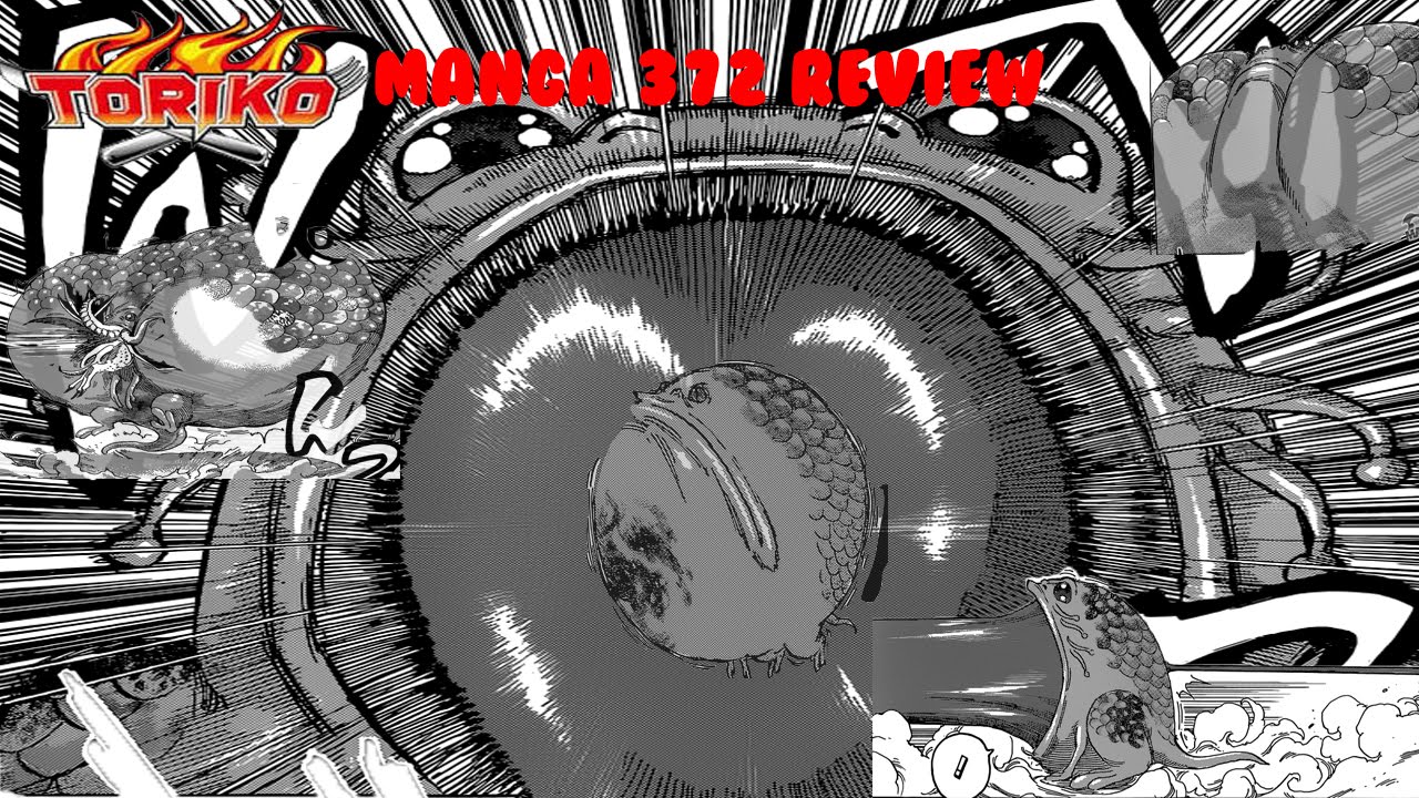 Toriko Manga 372 - Their Battles Review
